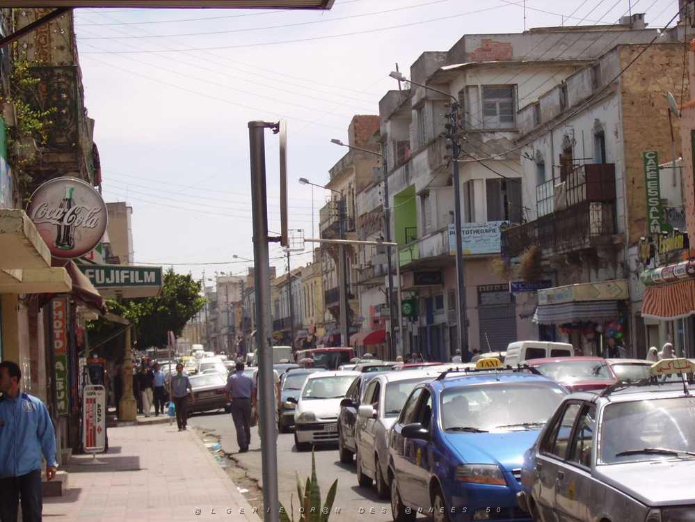 ORAN 2008 ST EUGENE 01 AVENUE.jpg
